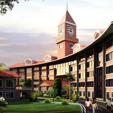 Institutional Architecture